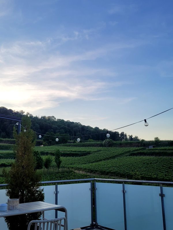 20260523_114753242_001.jpeg